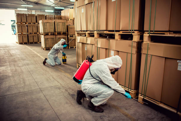 Best Mosquito Control Services  in Ocean Ridge, FL