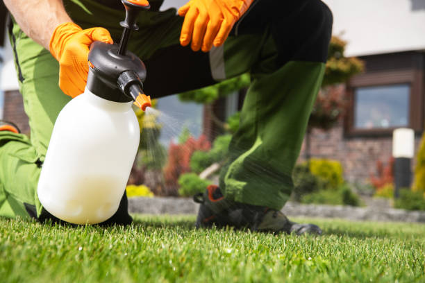 Best Wasp Removal Services  in Ocean Ridge, FL