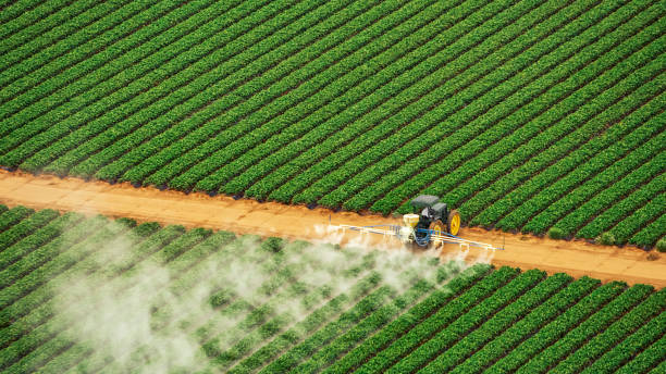 Best Termite Control Services  in Ocean Ridge, FL