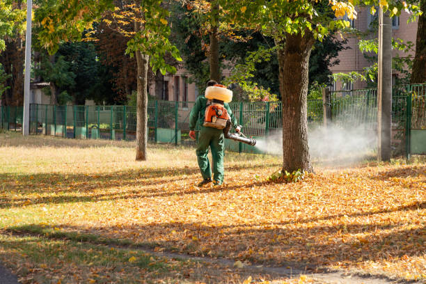 Flea Control Services in Ocean Ridge, FL