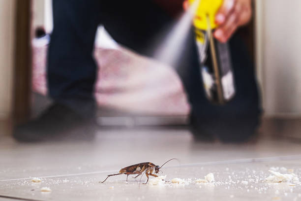 Best Commercial Pest Control Services  in Ocean Ridge, FL