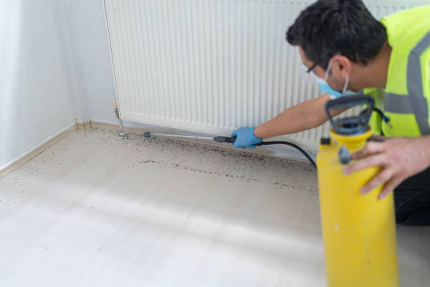 Insect Control in Ocean Ridge, FL